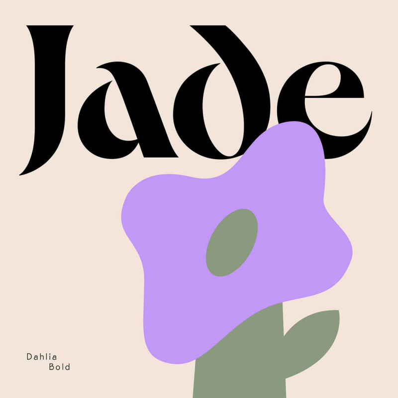 Jérémy Schneider - Talkie Walkie