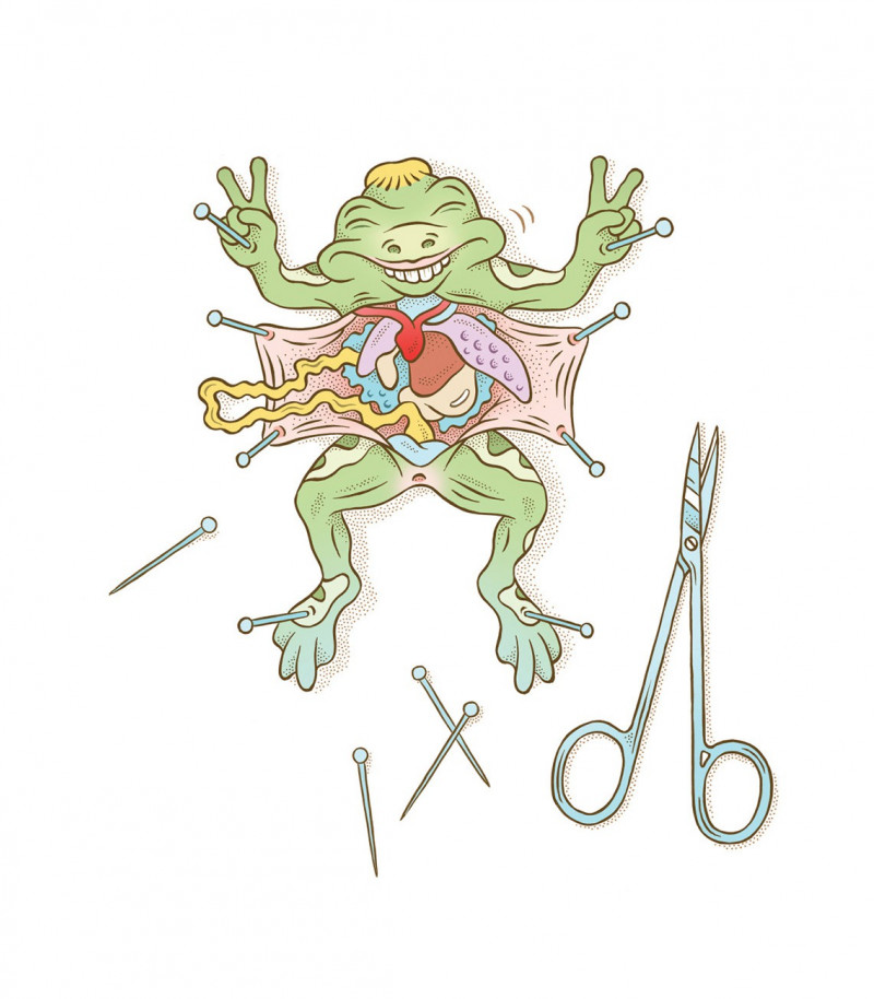 Jules Le Barazer - Talkie Walkie