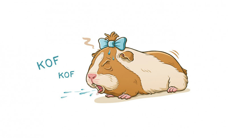 Jules Le Barazer - Talkie Walkie