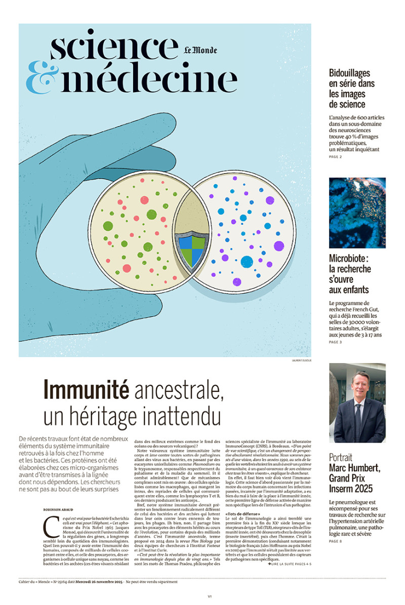 Laurent Duvoux - Talkie Walkie